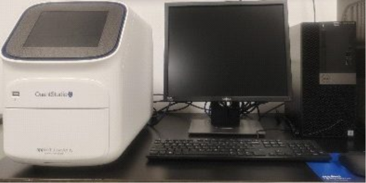 888娱乐城